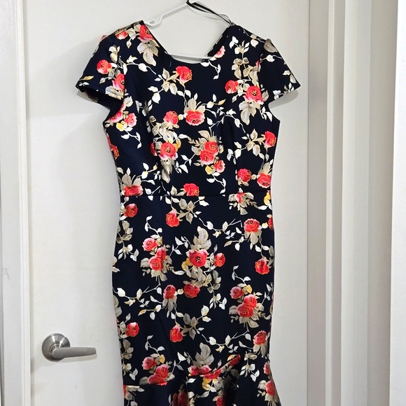 Alexa B Nites dress size petite 14P - Picture 1 of 5